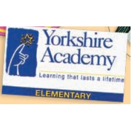 Custom Static Stick Decal w/Clear Face Static (144-175 Square Inch)