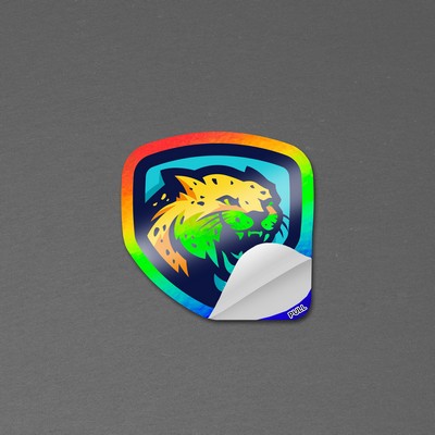 2" x 2" Vinyl Die Cut Holographic Sticker with pull tab 6mil
